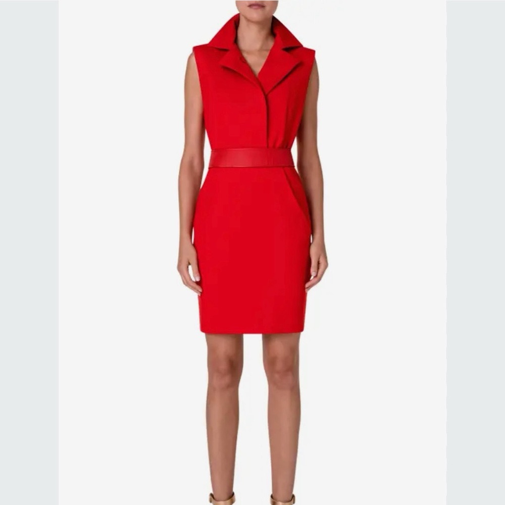 Akris Viscose Wool Jersey Dress with Horsehair Belt